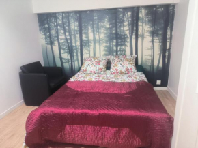 Appartement Jelyad Terres Fortes 1 à 10 minutes de Disney